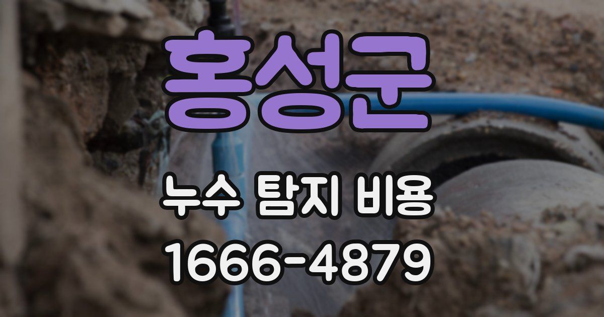 홍성군 누수 탐지 비용