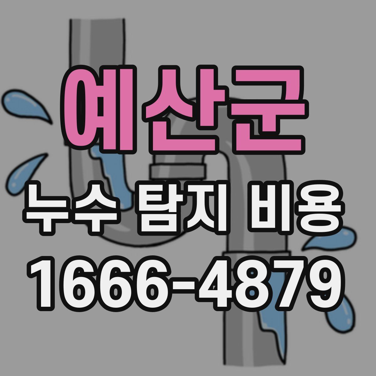 예산군 누수 탐지 비용
