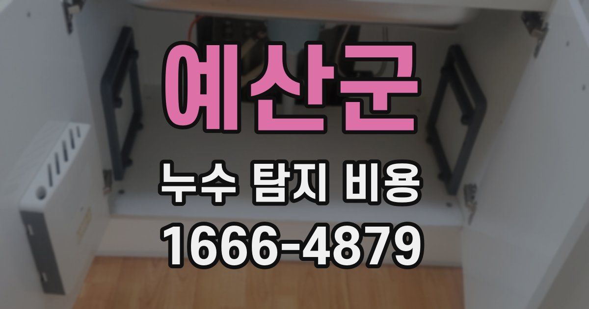 예산군 누수 탐지 비용