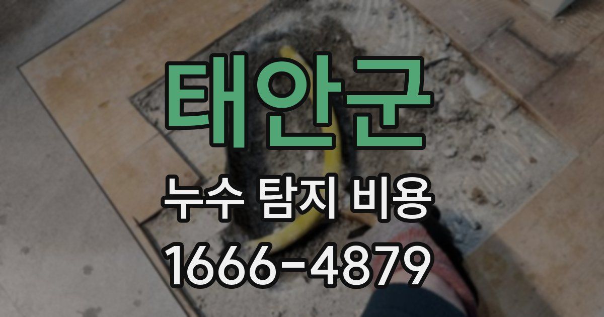 태안군 누수 탐지 비용
