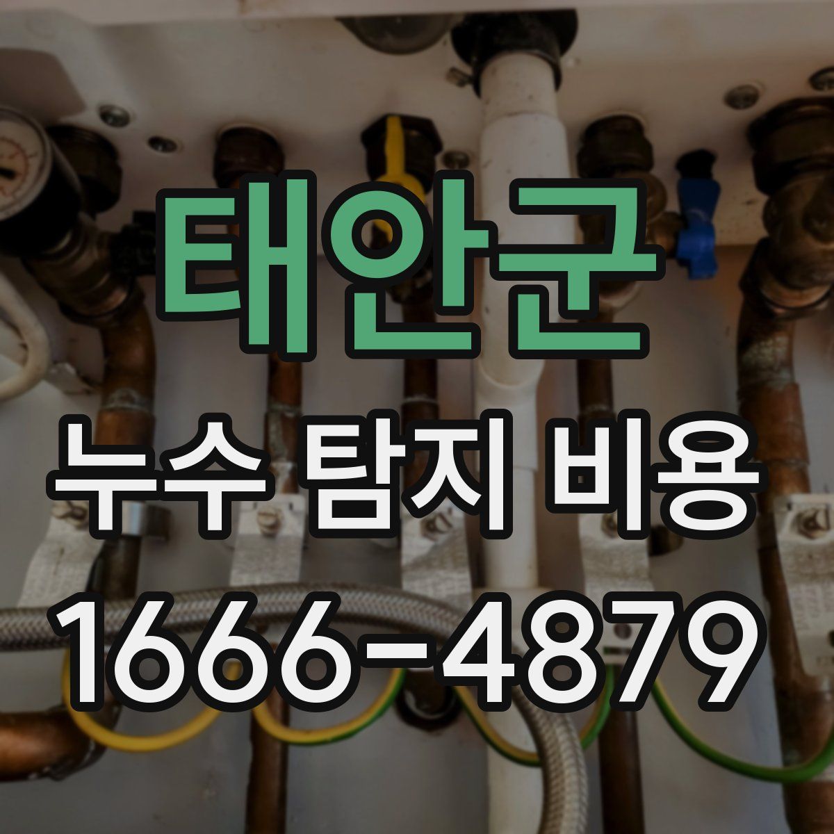 태안군 누수 탐지 비용