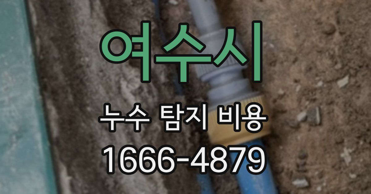여수시 누수 탐지 비용