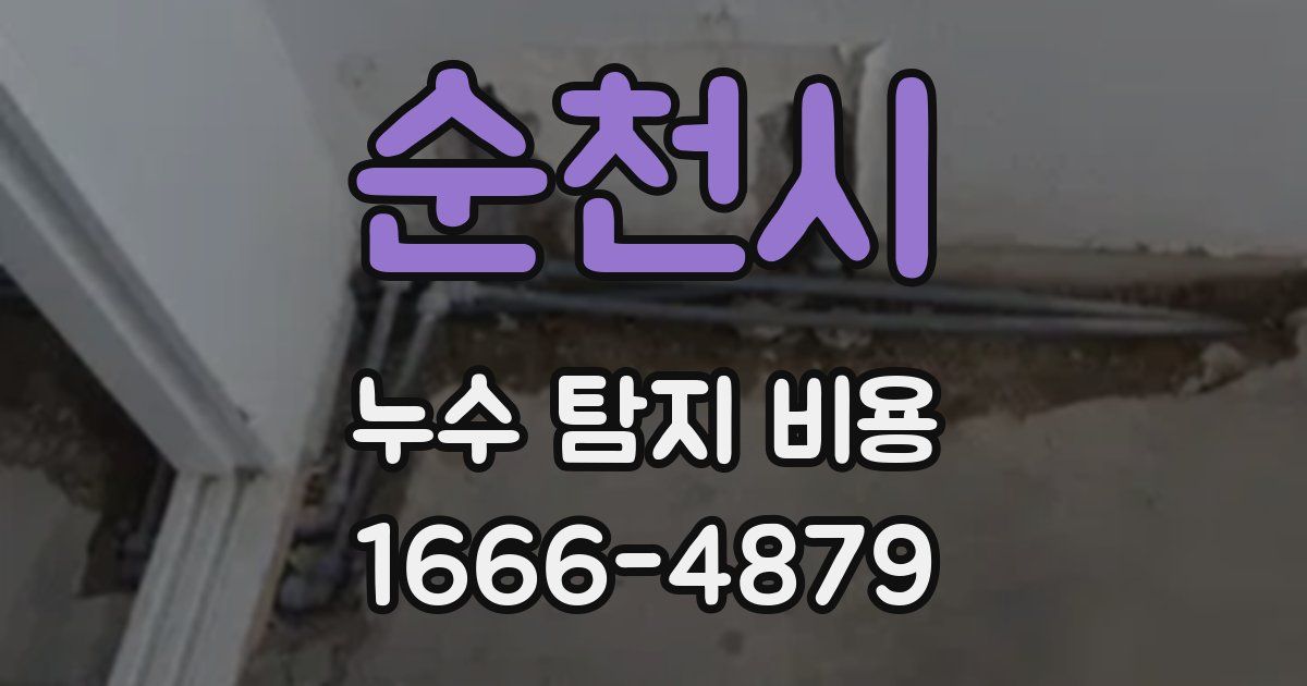 순천시 누수 탐지 비용