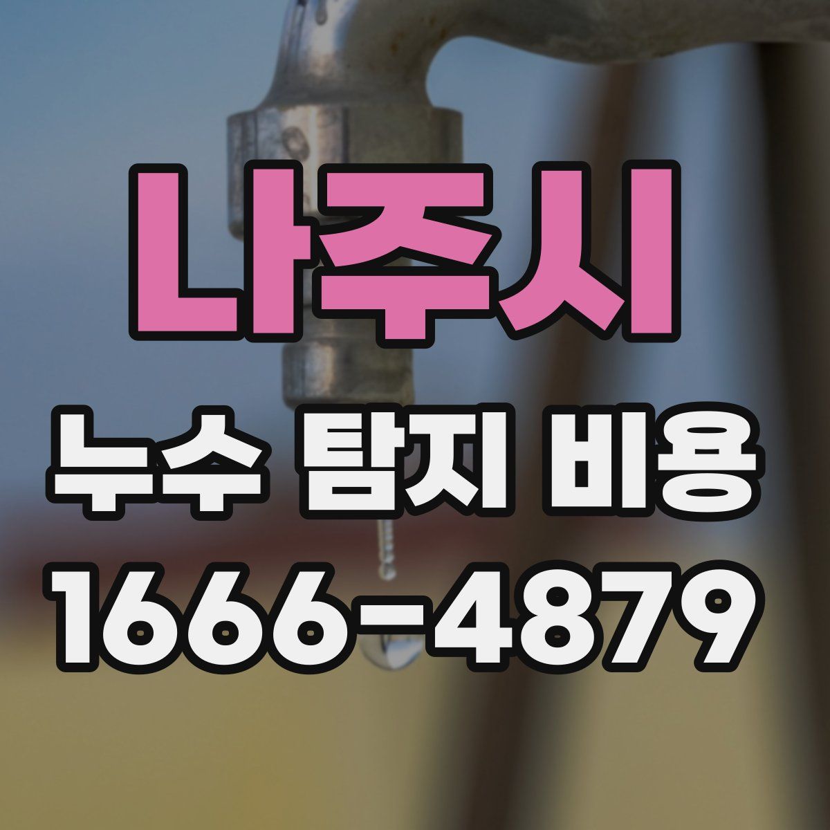 나주시 누수 탐지 비용