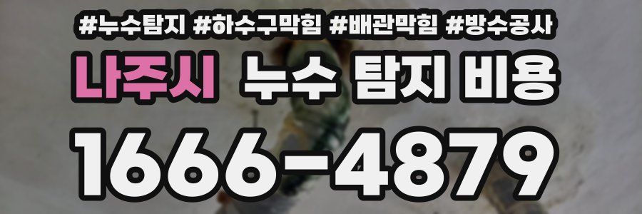 나주시 누수 탐지 비용