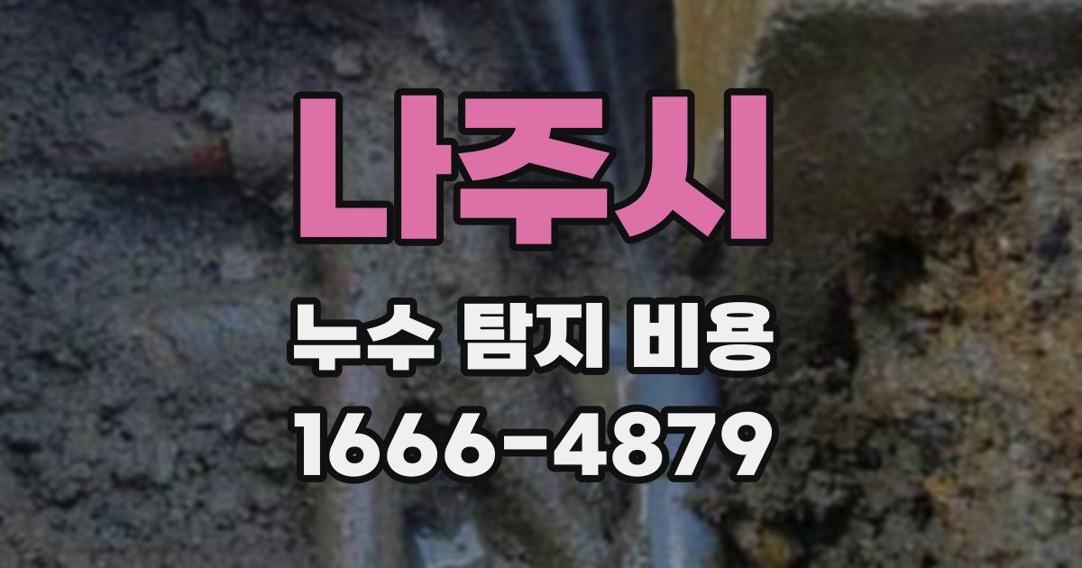 나주시 누수 탐지 비용