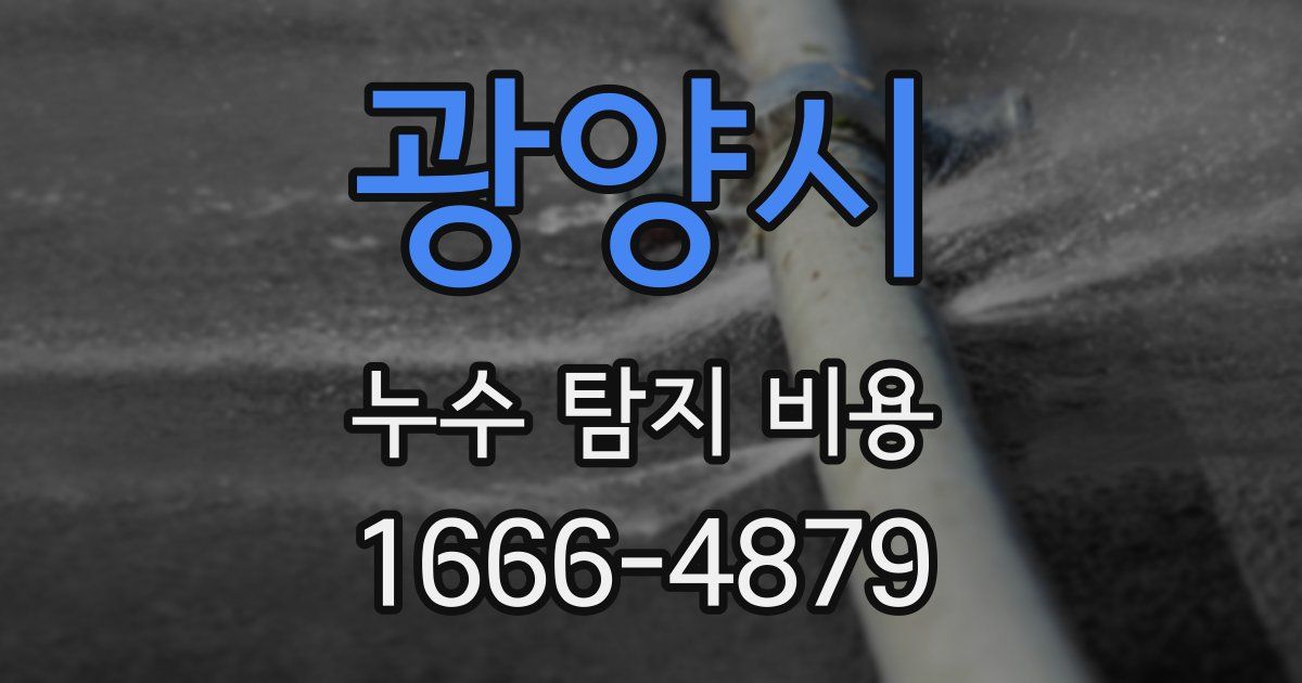 광양시 누수 탐지 비용