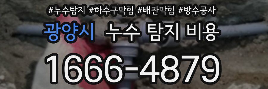 광양시 누수 탐지 비용