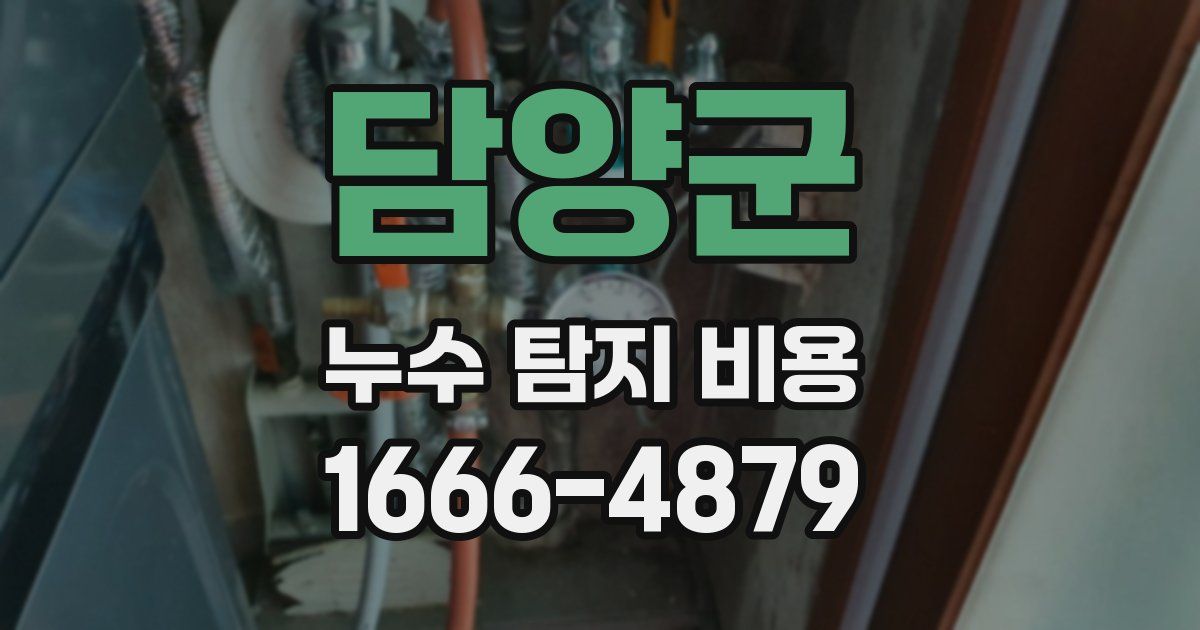 담양군 누수 탐지 비용