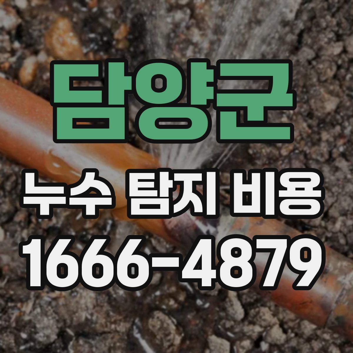 담양군 누수 탐지 비용