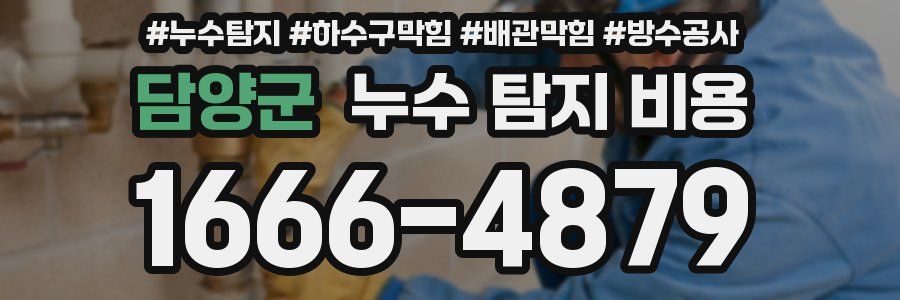 담양군 누수 탐지 비용