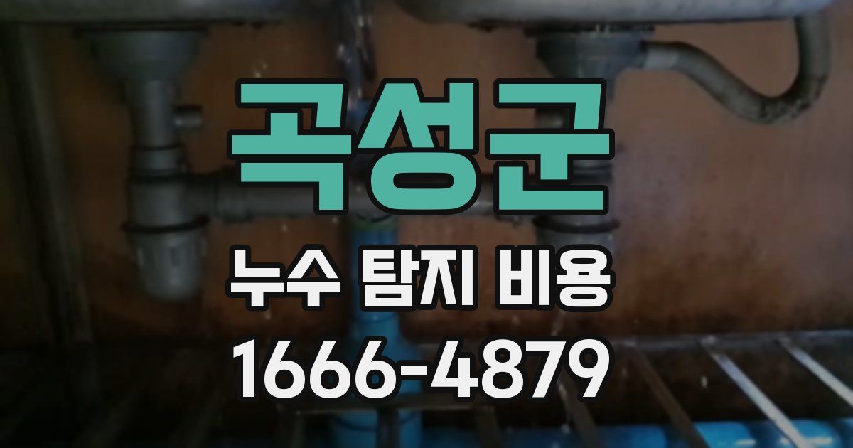 곡성군 누수 탐지 비용
