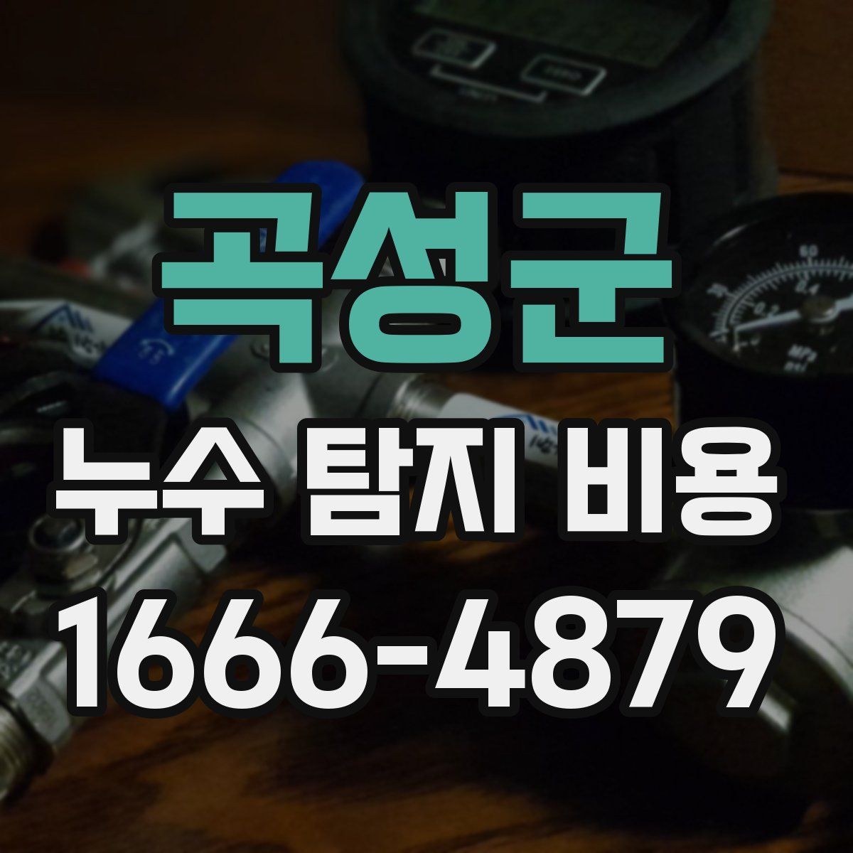 곡성군 누수 탐지 비용
