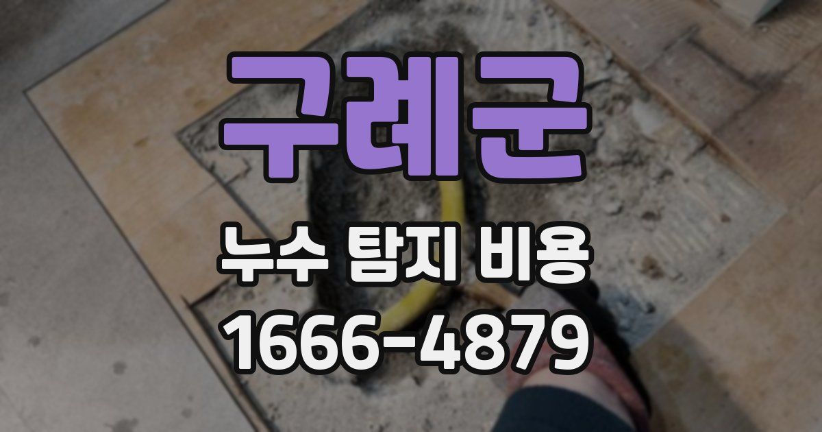 구례군 누수 탐지 비용