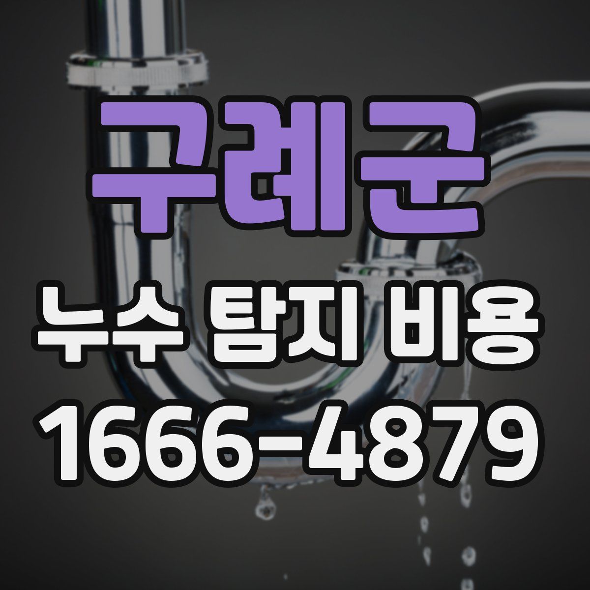 구례군 누수 탐지 비용