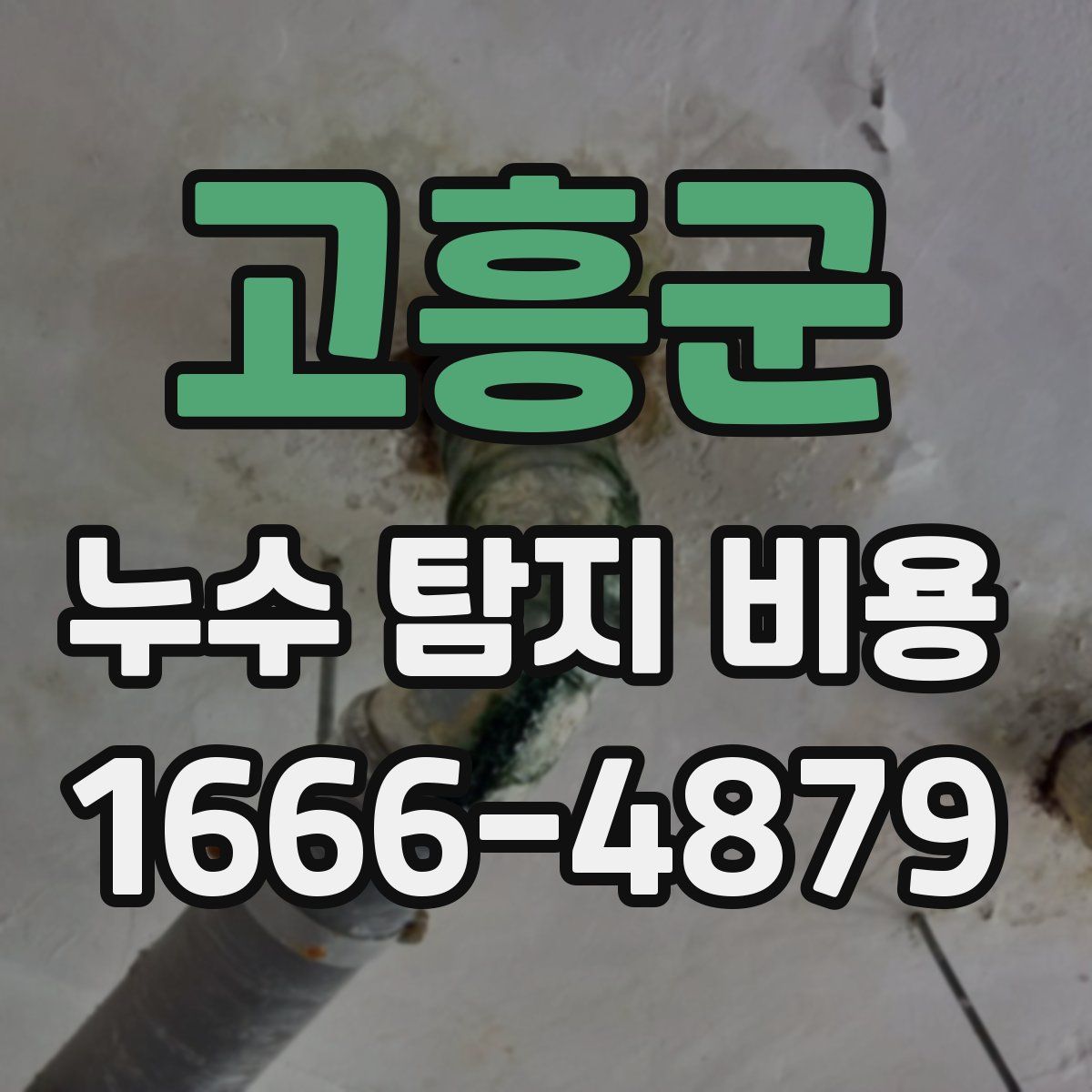 고흥군 누수 탐지 비용