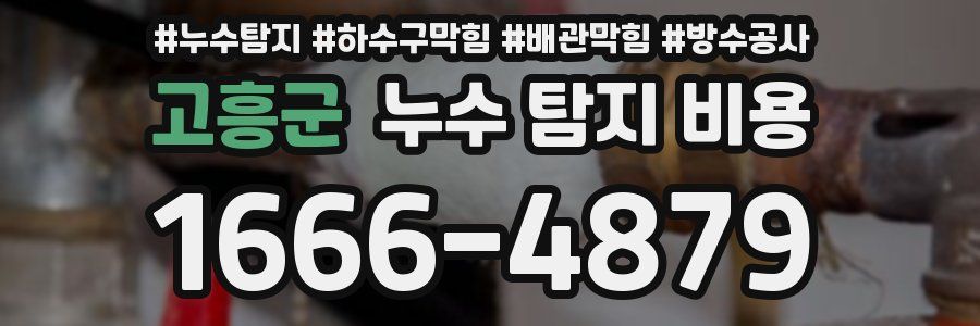 고흥군 누수 탐지 비용