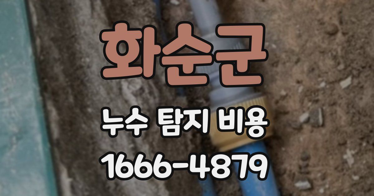 화순군 누수 탐지 비용