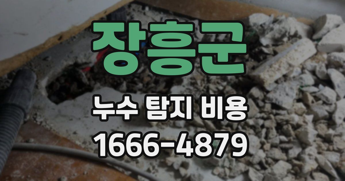 장흥군 누수 탐지 비용