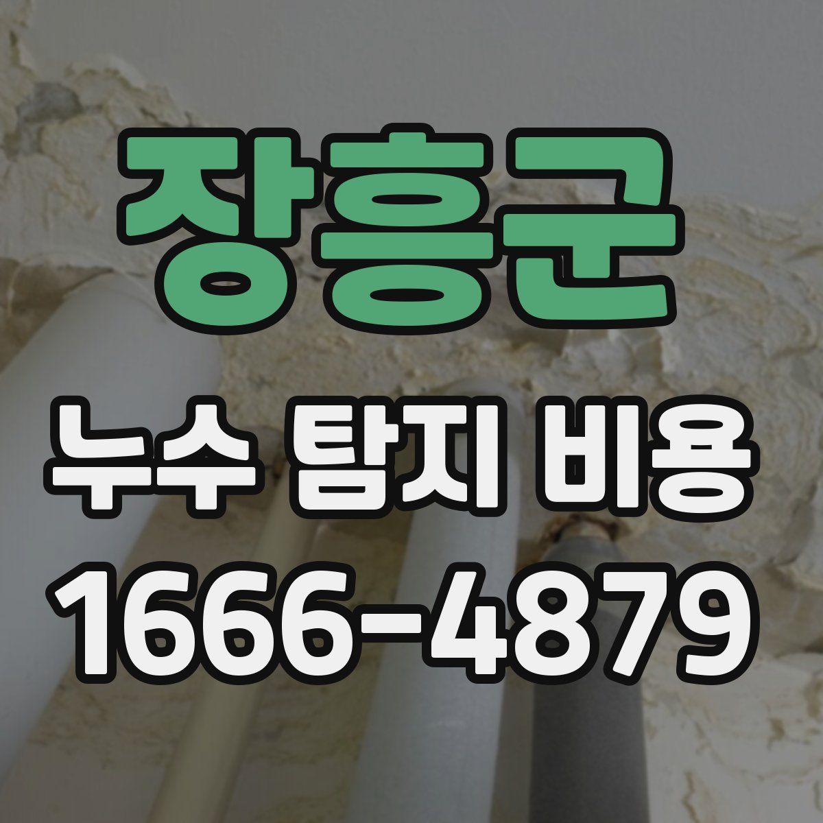 장흥군 누수 탐지 비용