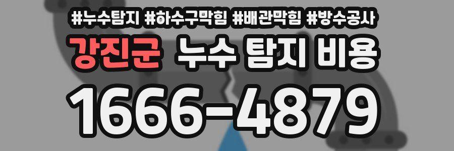 강진군 누수 탐지 비용