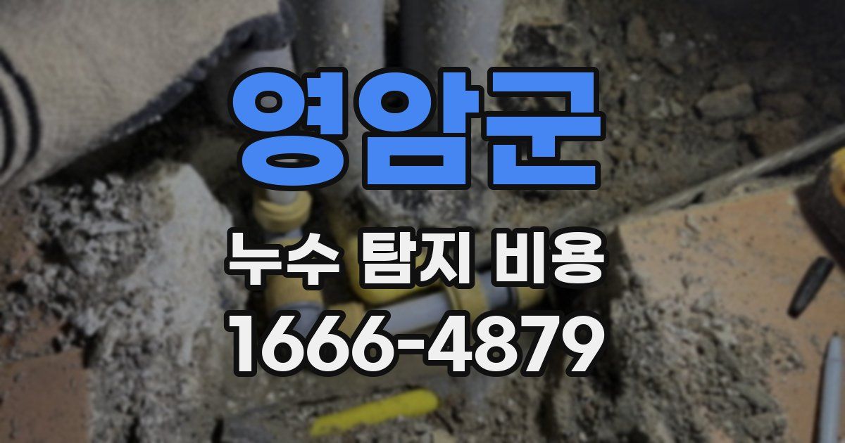 영암군 누수 탐지 비용
