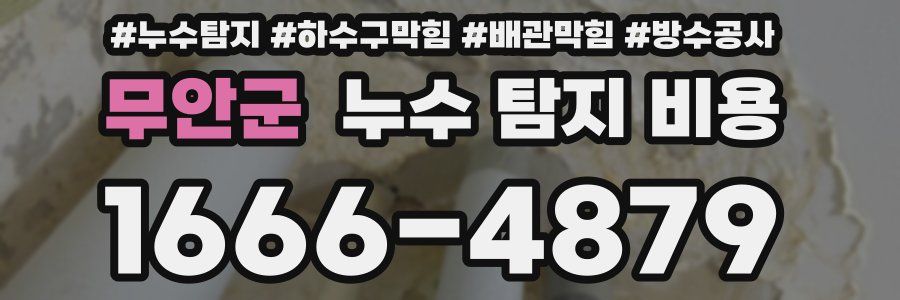 무안군 누수 탐지 비용