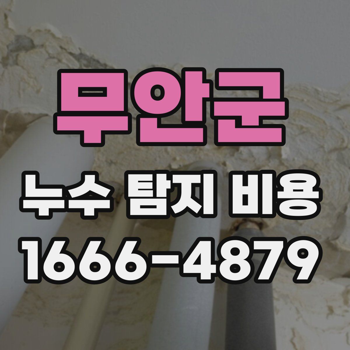 무안군 누수 탐지 비용