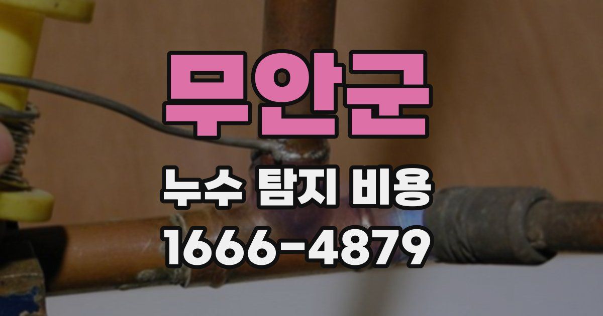 무안군 누수 탐지 비용