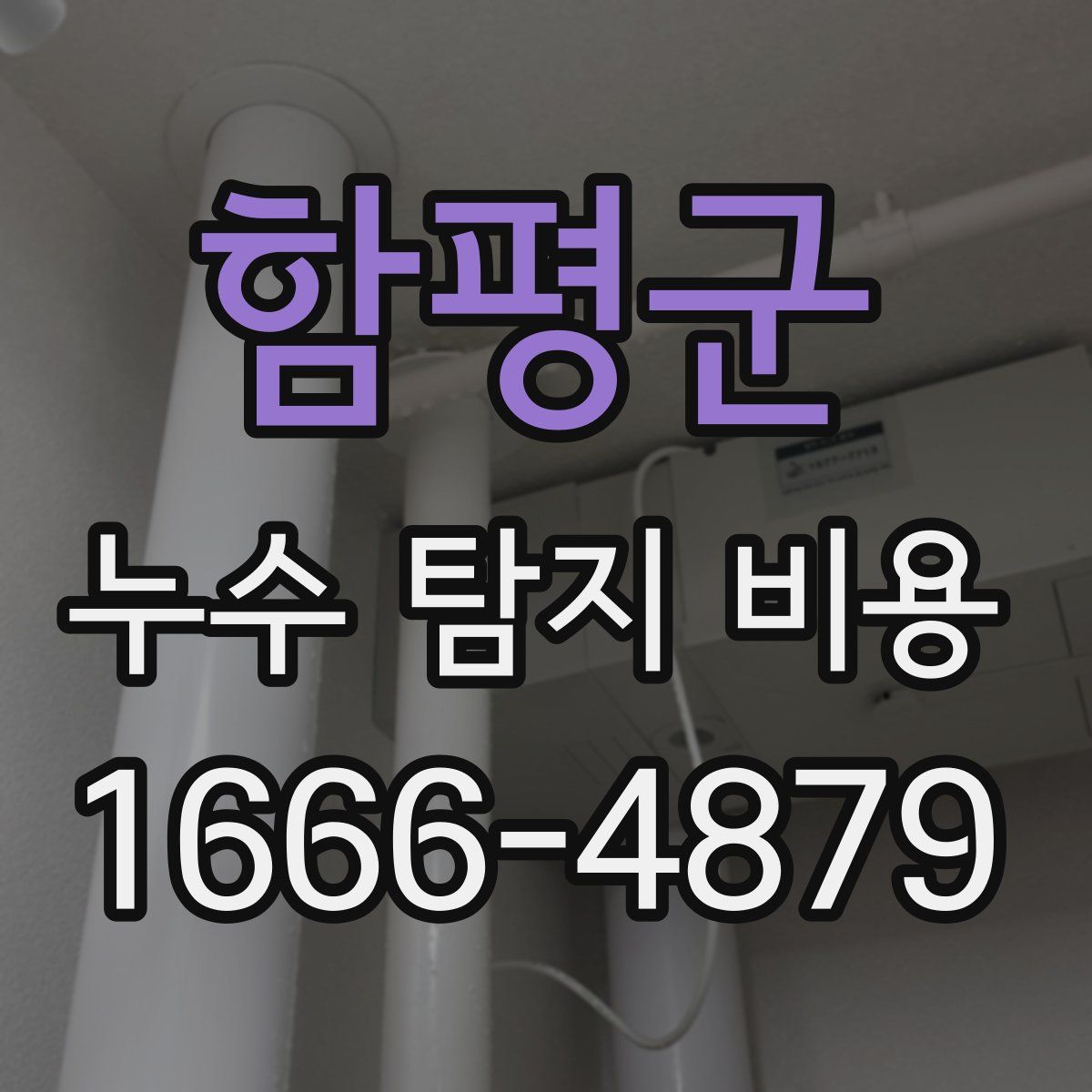 함평군 누수 탐지 비용