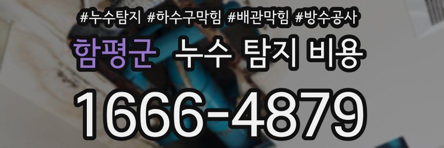 함평군 누수 탐지 비용