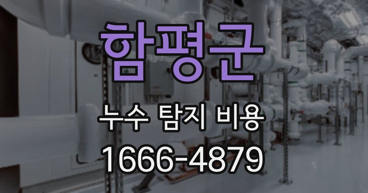 함평군 누수 탐지 비용