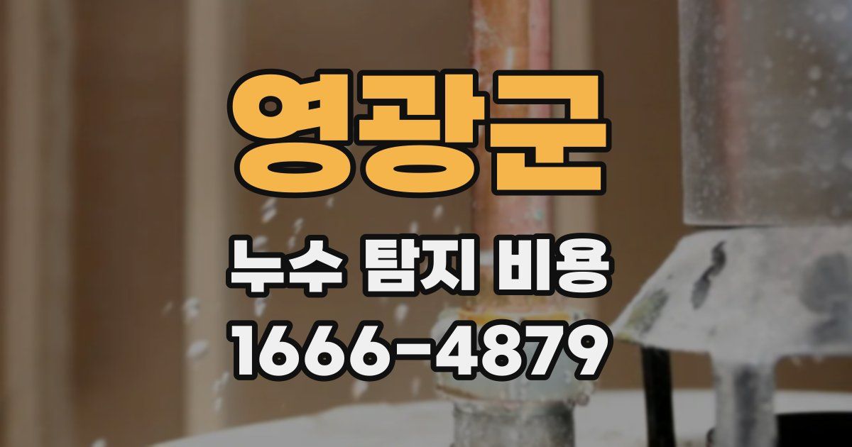 영광군 누수 탐지 비용