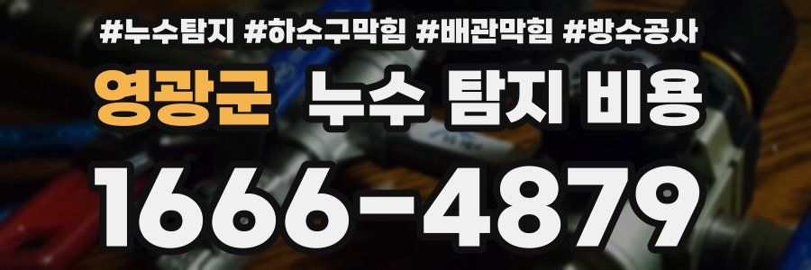 영광군 누수 탐지 비용