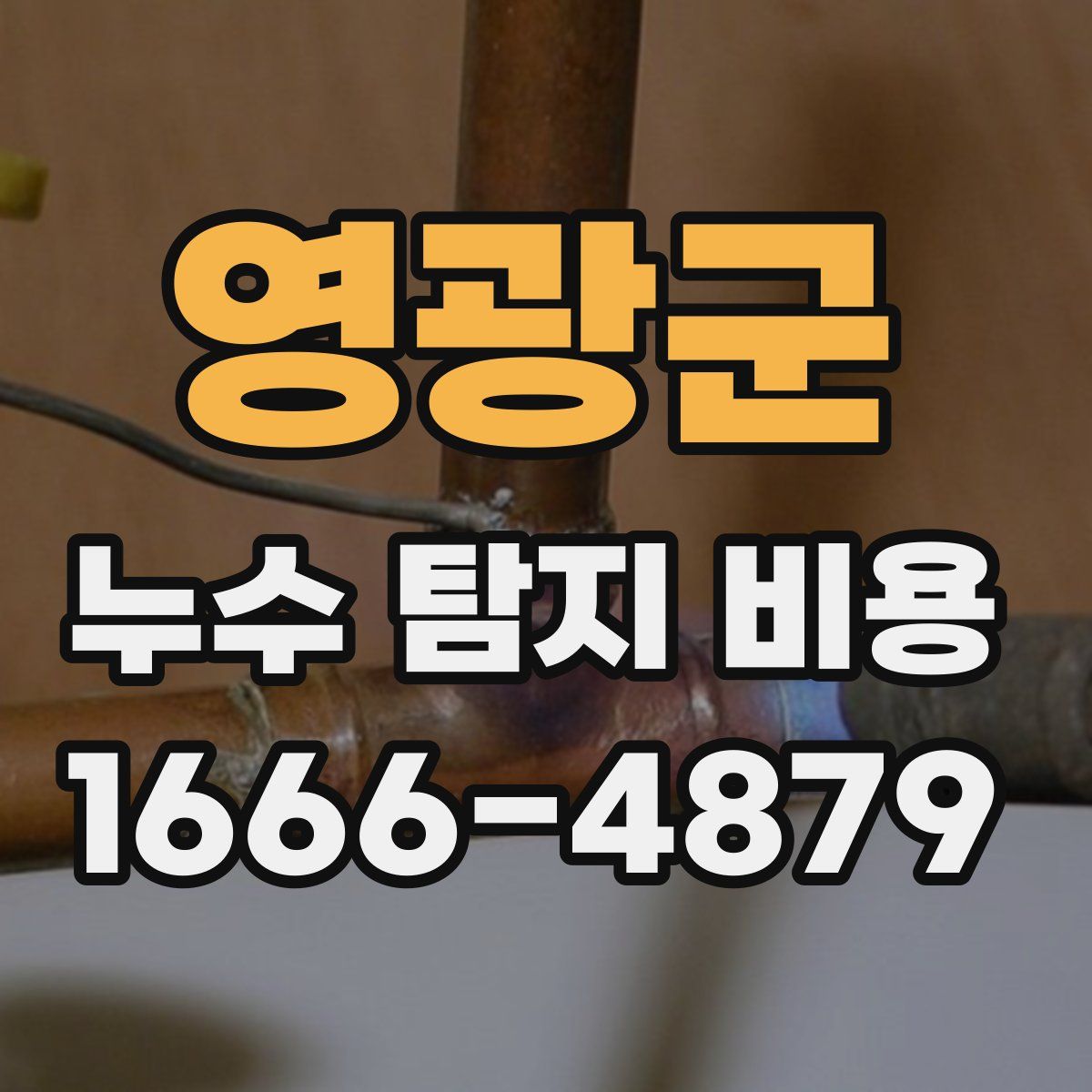 영광군 누수 탐지 비용