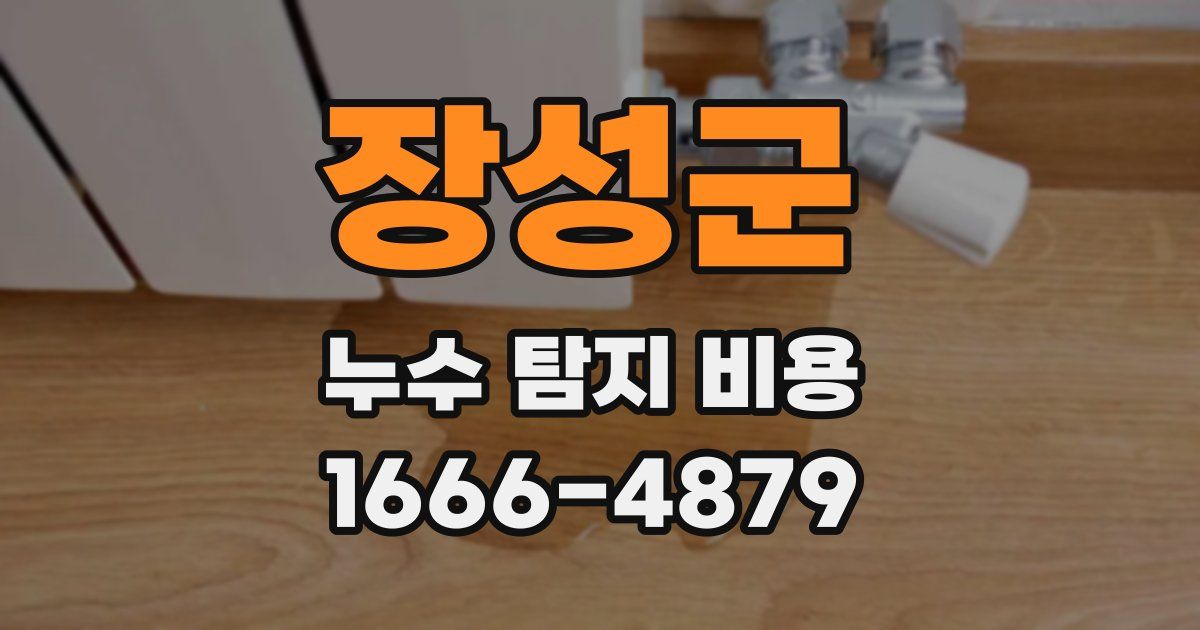 장성군 누수 탐지 비용