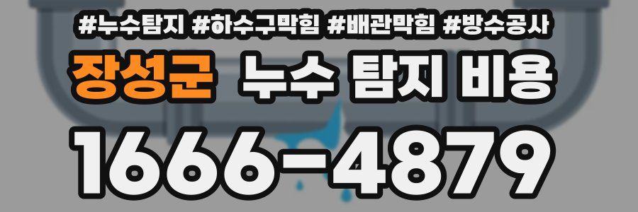 장성군 누수 탐지 비용