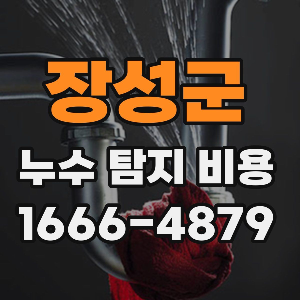 장성군 누수 탐지 비용