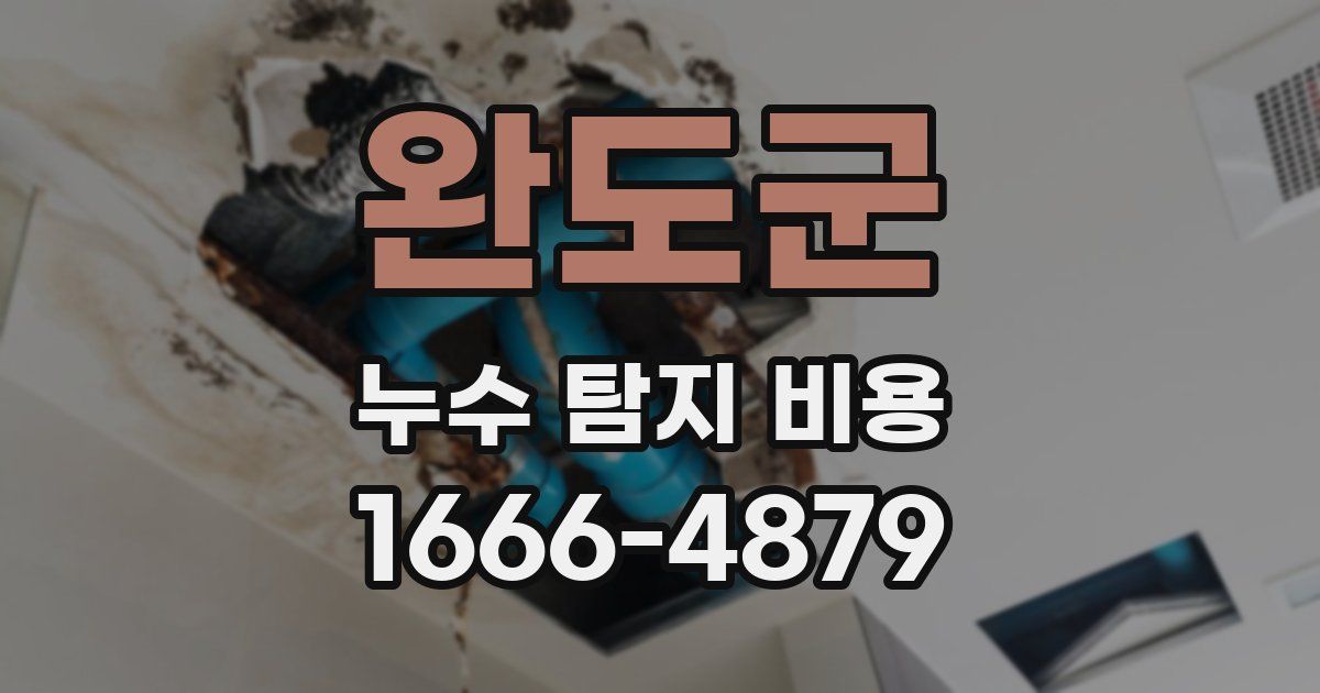 완도군 누수 탐지 비용