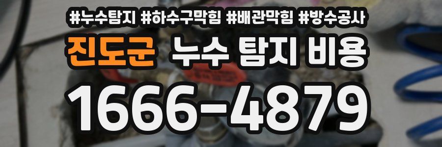 진도군 누수 탐지 비용