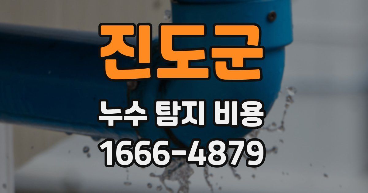 진도군 누수 탐지 비용