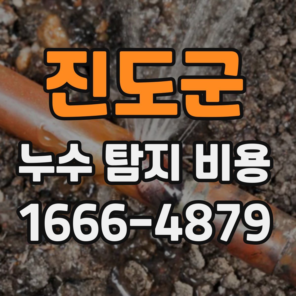 진도군 누수 탐지 비용