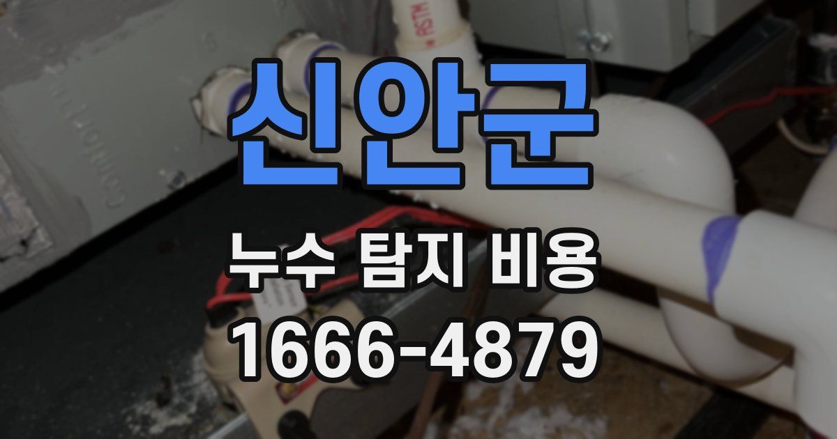 신안군 누수 탐지 비용