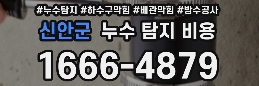 신안군 누수 탐지 비용