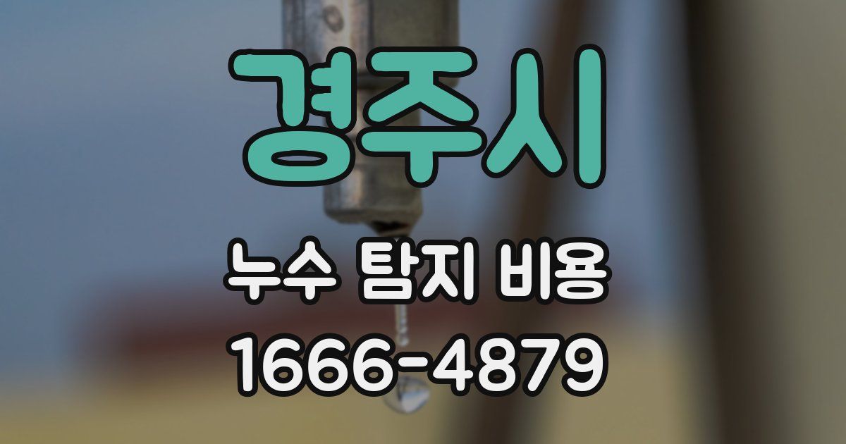 경주시 누수 탐지 비용