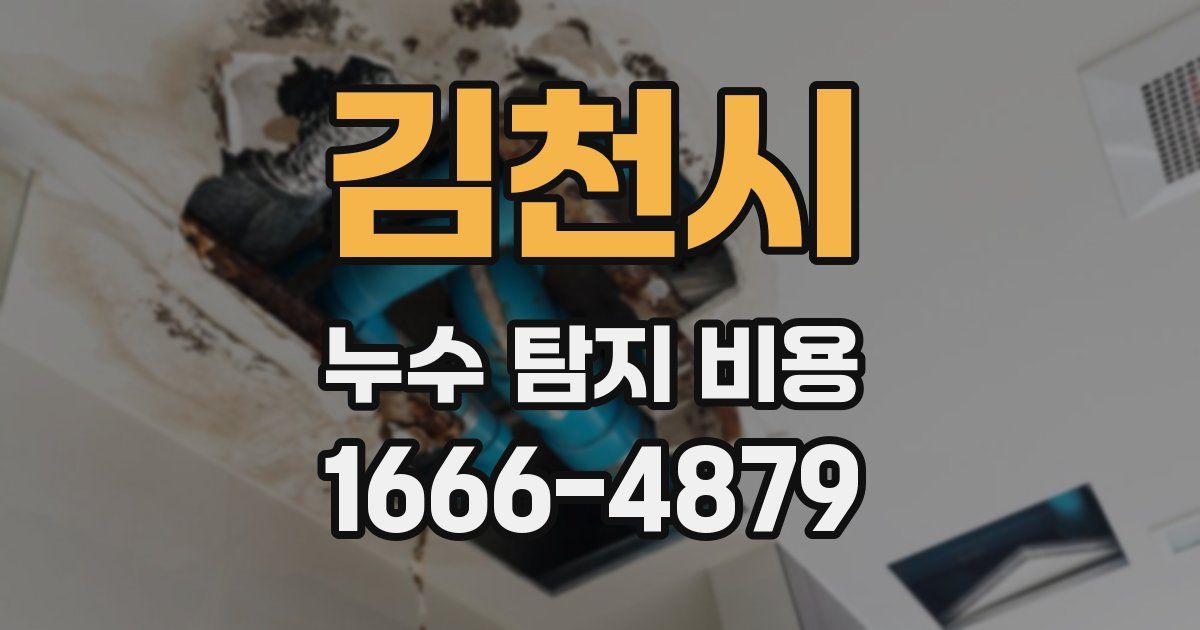 김천시 누수 탐지 비용