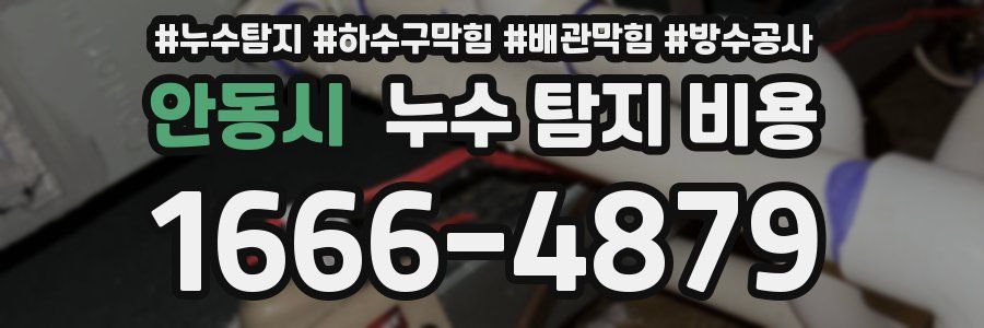 안동시 누수 탐지 비용