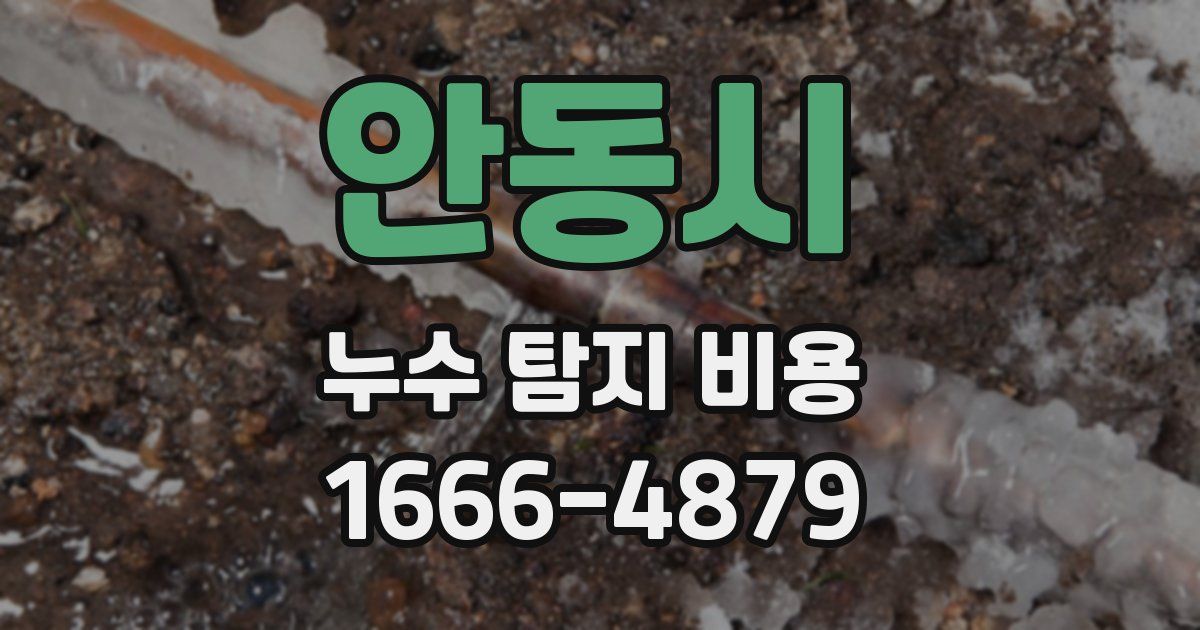 안동시 누수 탐지 비용