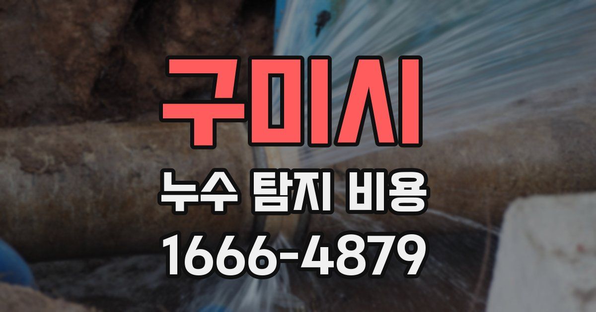 구미시 누수 탐지 비용