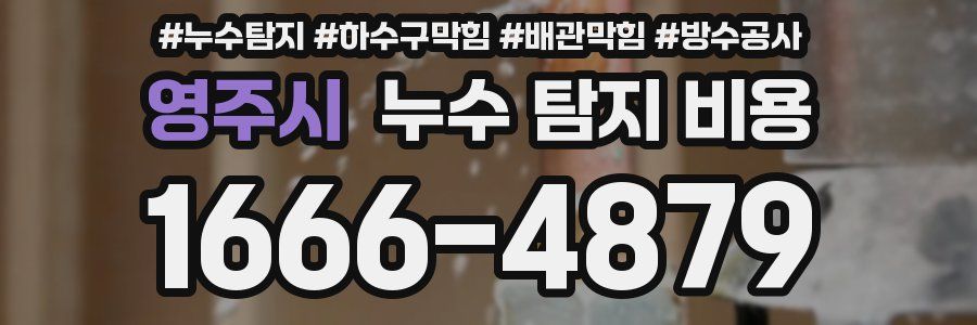 영주시 누수 탐지 비용